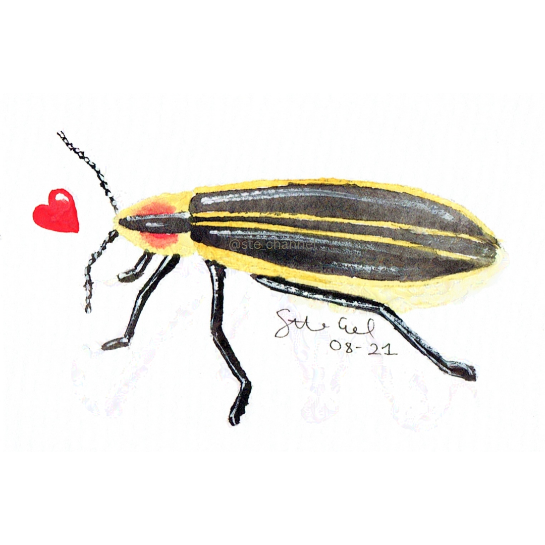 Watercolor Firefly